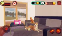 Akita Dog Simulator Screen Shot 15