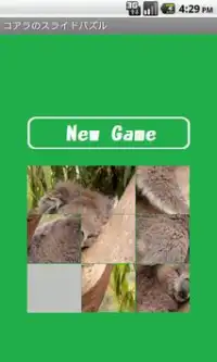Koala Puzzle free Screen Shot 1