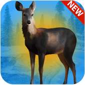 Deer Hunting 3D free