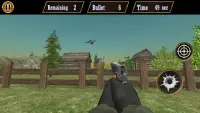 Pigeon Hunting: Hunt & Shooting Bird Games Screen Shot 1
