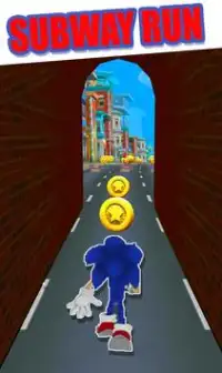 Subway Hedgehog Adventure: Dash Runner jump Game Screen Shot 3