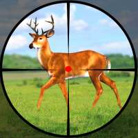 Offline Deer Hunting Games 2020: silah oyunları