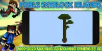 Maps Pixel Skyblock - Sky Islands Screen Shot 4