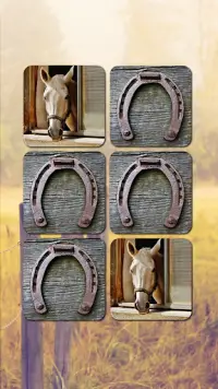 Horse Puzzles Collection Screen Shot 5