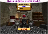Gato Kitty Z - Mascota virtual gatito para cuidar Screen Shot 3