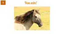 Jigsaw Puzzles with Horses Screen Shot 3