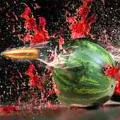 Watermelon Shooting Challenge 3d Shooting Game