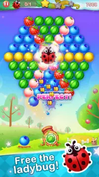 Bubble Fruit Screen Shot 3