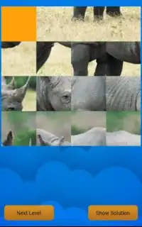 Slide Puzzle Animals Screen Shot 6