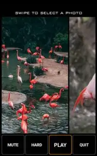 Pink Flamingo Jigsaw Puzzle Game Screen Shot 4