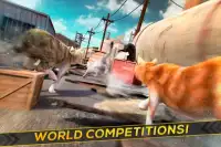 3D Cat Simulator Game For Free Screen Shot 1