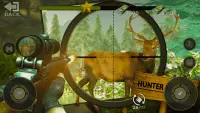 Wilderness Hunting：Shooting Prey Game Screen Shot 4