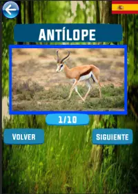 Aprender los nombres de los animales |  10 idiomas Screen Shot 0