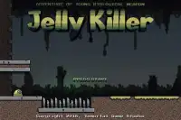 Jelly-Killer Retro Platformer Screen Shot 0