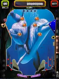 Pinball Angry Shark Games Screen Shot 1