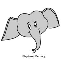 Elephant memory