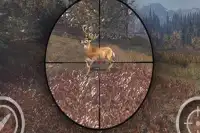 Animal Sniper Expert Hunting 3D Screen Shot 2