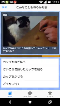 萌えかわいい猫動画クイズ、おもしろ動画の次の瞬間を当てよう！ Screen Shot 1