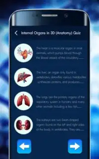 Internal Organs in 3D (Anatomy) Quiz Screen Shot 1