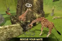 Giraffe Family Life Jungle Sim Screen Shot 5