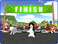 Cute Puppy Dog Racing Sim 2017 Screen Shot 14