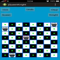 Chess Queen and Knight Problem Screen Shot 9