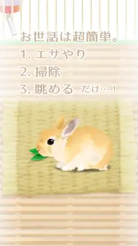 癒しのウサギ育成ゲーム Screen Shot 1