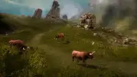 Angry Bull Hunting - Wild Bulls Hunter Screen Shot 5