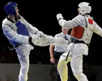 Taekwondo rompecabezas Screen Shot 3