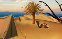 Escape Game - Lost in Desert Screen Shot 1