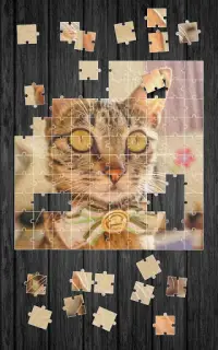 Cute Cats Jigsaw Puzzle Screen Shot 6