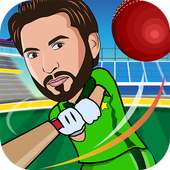 Super Cricket