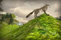 Angry Wolf 3D Simulator Screen Shot 3