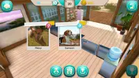 Dog Hotel – Play with dogs and manage the kennels Screen Shot 7