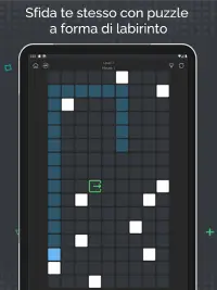 Sfida del labirinto: Fuga dal labirinto & puzzle Screen Shot 8
