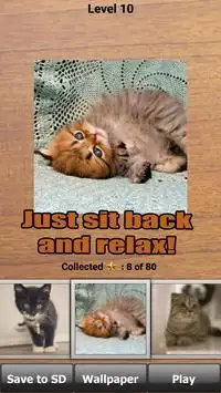 Kittens Puzzle (FREE) Screen Shot 5