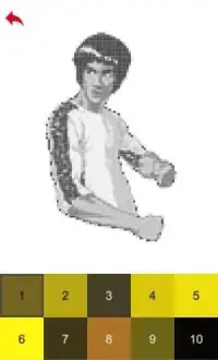 Bruce Lee Color by Number - Pixel Art Game Screen Shot 4
