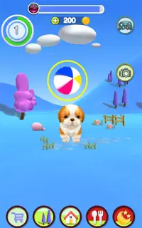 Cão Falante Screen Shot 20