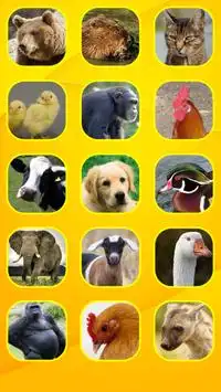 Baby Animal Educational Screen Shot 1