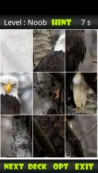 Eagle Sliding Puzzle Screen Shot 1