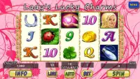 Lady's Lucky Charms Slot Screen Shot 0