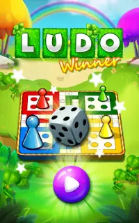 Ludo Game : Ludo Winner Screen Shot 0