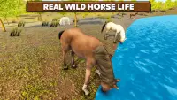 Wild Horse Family Survival Screen Shot 1