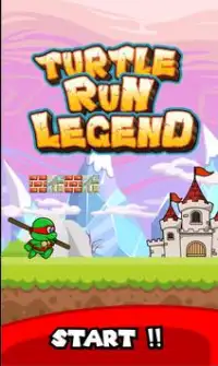 Turtle Run Legend Screen Shot 0
