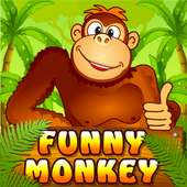 Funny Monkey Slot