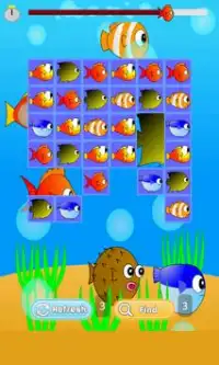 Fish Match Game Screen Shot 4