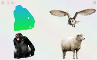 Brincar&aprender:animais,cores,números,curiosidade Screen Shot 11