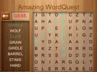 Amazing Word Quest Word Search Screen Shot 3