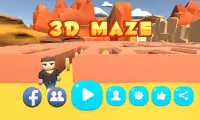 3D Maze Screen Shot 4