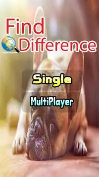 Find the Difference Photo Hunt Games Screen Shot 0